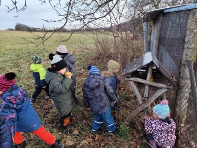 2025-12/1765957224_va1