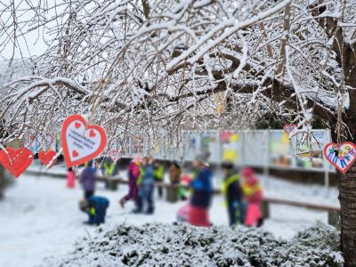 2026-02/1770643707_sr10