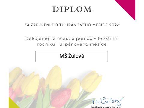 Obrázek: aktuality/diplom-tm-1-.jpg
